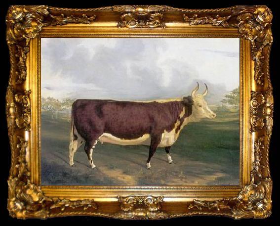 framed  unknow artist Cow 145, ta009-2